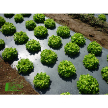 2017 sales of quality products uv plastic film greenhouse biodegradation